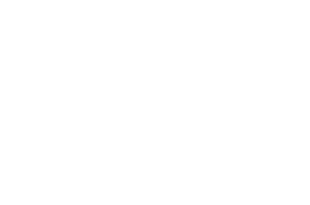 De Chile Al Paladar Logo