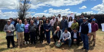 Familias Mapuches se capacitan para producir Tayu 1865