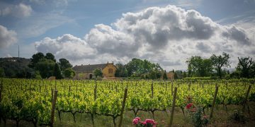 FAMILIA-TORRES-Finca-Mas-La-Plana_TGalitó-low