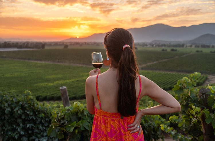 Se destacan 90 viñas que cuentan con certificaciones de sustentabilidad, consolidando su compromiso con el medio ambiente. Foto Nick Charlesworth.