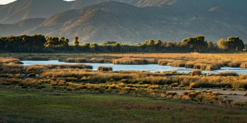 Zone humide La Capilla Malloa