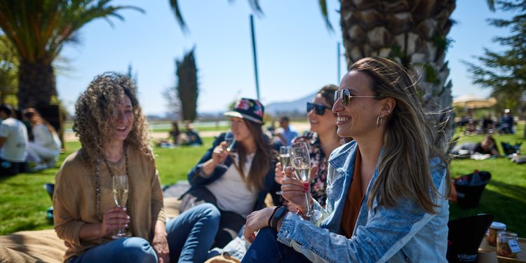 La experiencia incluye una canasta de picnic con productos seleccionados. Foto Casa Valle Viñamar.