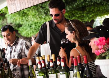 Il y aura des dégustations dans des caves renommées de la région, des échantillons culturels, gastronomiques et artisanaux, des jeux et des spectacles artistiques. Photo Colchagua Vineyards.