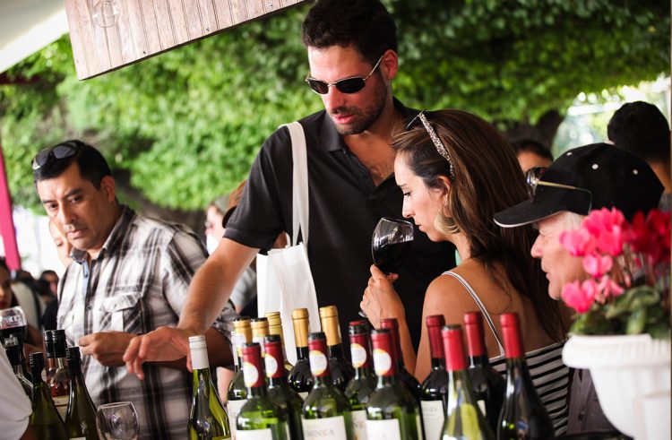 Habrá degustaciones de reconocidas viñas de la zona muestras culturales gastronómicas artesanales juegos y shows artísticos. Foto Viñas de Colchagua.