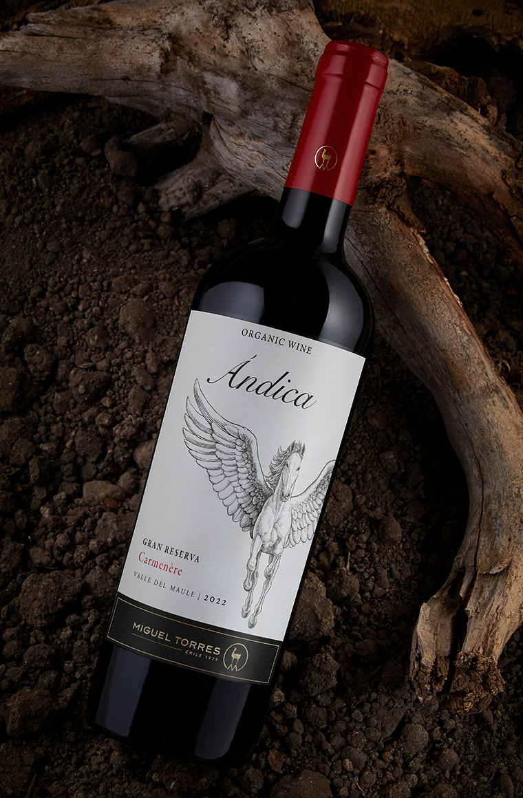 Ándica carmenere photo miguel torres chile - de chile al paladar | wine news in chile