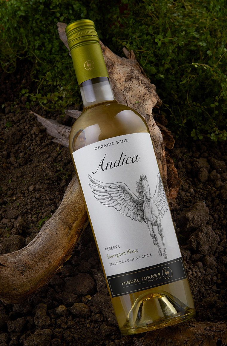 Ándica sauvignon blanc. foto miguel torres chile - de chile al paladar | noticias del vino en chile