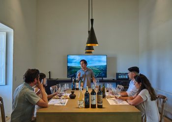 Muchas de las experiencias propuestas están diseñadas para crear conexiones auténticas lejos de lo convencional. Foto Enoturismo Chile