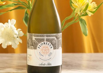 Clima frio e vinhas-late-harvest-wine-made-from-vines-born-only-12-kilometres-from-the-Pacific-Ocean-in-San-Antonio-Valle-de-Leyda
