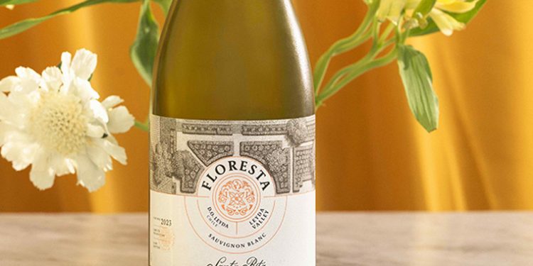 Clima frio e vinhas-late-harvest-wine-made-from-vines-born-only-12-kilometres-from-the-Pacific-Ocean-in-San-Antonio-Valle-de-Leyda