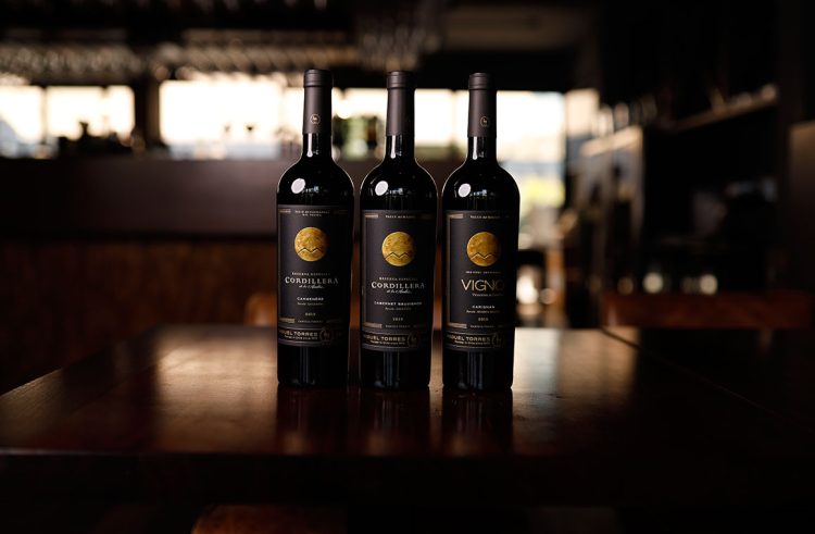 Colección de Valles expresa la esencia de su origen resultado de una búsqueda apasionada de Familia Torres desde su llegada al Valle de Curicó. Foto Miguel Torres Chile