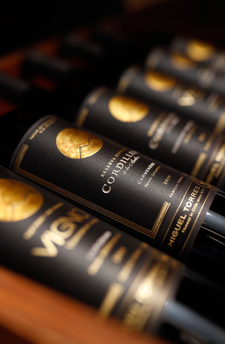 estos tintos nacen en zonas especialmente elegidas por su singularidad dando vida a vinos con notable expresión varietal - de chile al paladar | noticias del vino en chile