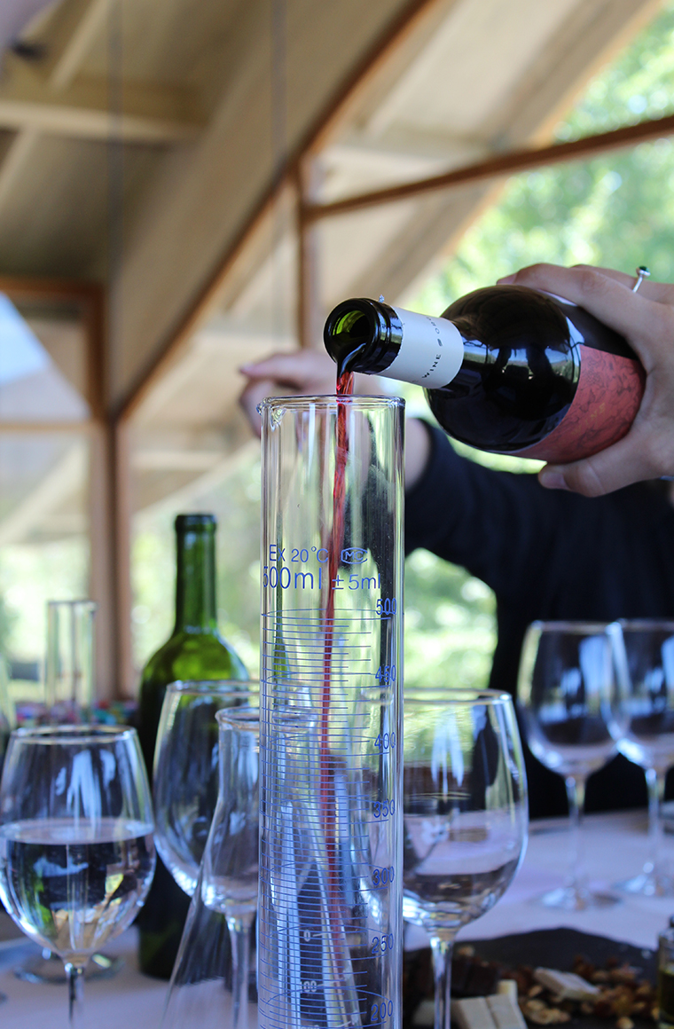 the experience highlights emiliana's way of making wine in a conscious, sustainable and approachable way - de chile al paladar | noticias del vino en chile