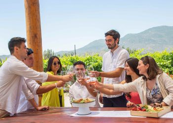 Cada vez mais visitantes nacionais e internacionais estão interessados em conhecer a origem dos vinhos chilenos e viver experiências autênticas. Vinhedos de Colchagua