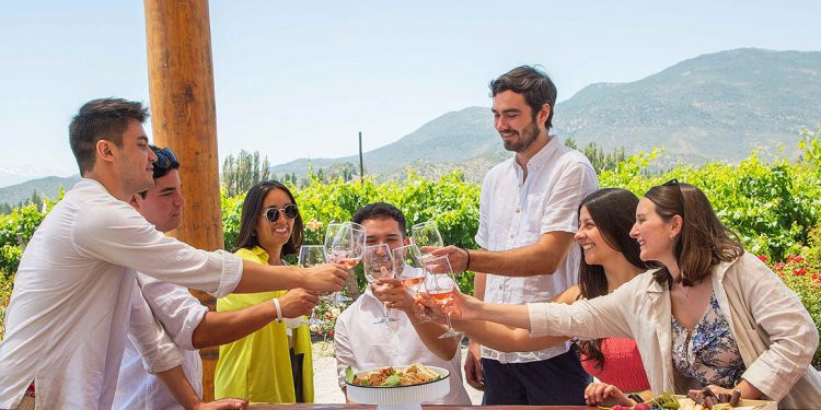 Cada vez mais visitantes nacionais e internacionais estão interessados em conhecer a origem dos vinhos chilenos e viver experiências autênticas. Vinhedos de Colchagua