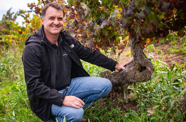 Eduardo Jordán director técnico y enólogo de Miguel Torres Chile. Foto Nick Charlesworth