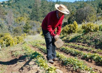 El valle de Lolol avanza en su consolidación como destino rural sostenible integrando turismo cultura y producción local. Foto Of. Turismo Lolol
