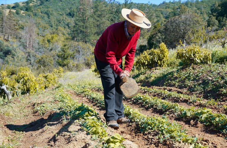 El valle de Lolol avanza en su consolidación como destino rural sostenible integrando turismo cultura y producción local. Foto Of. Turismo Lolol