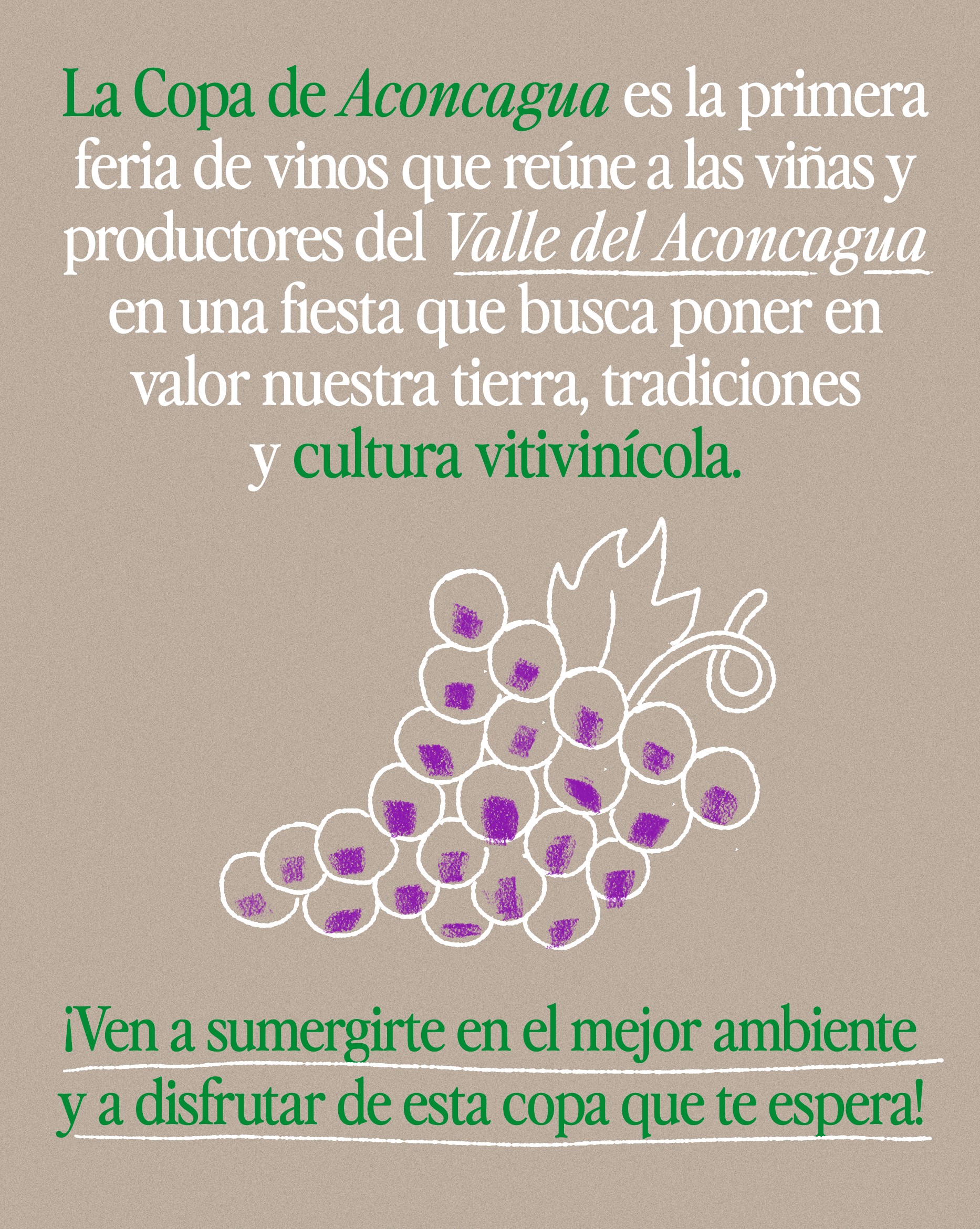 la copa de aconcagua - de chile al paladar | noticias del vino en chile