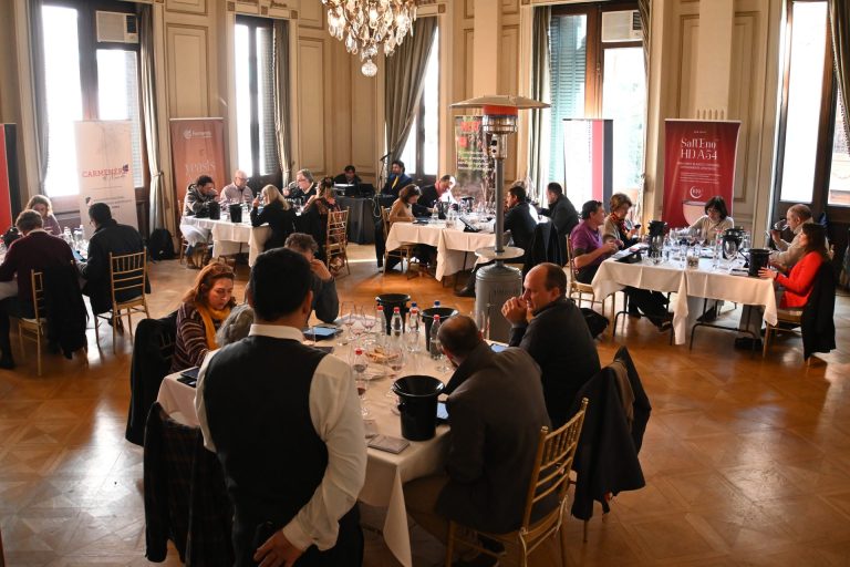 Carmenère al Mundo, certamen que nace en 2006, que se realiza cada dos años para celebrar el vino chileno a través de la variedad emblemática. Foto ANIAE.