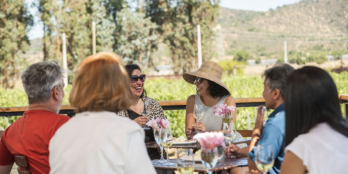Chile cuenta con más de 219 viñas abiertas oficialmente al enoturismo. Foto: Enoturismo Chile.