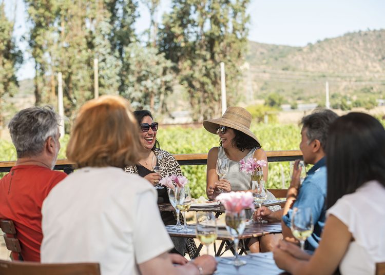 Chile cuenta con más de 219 viñas abiertas oficialmente al enoturismo. Foto: Enoturismo Chile.