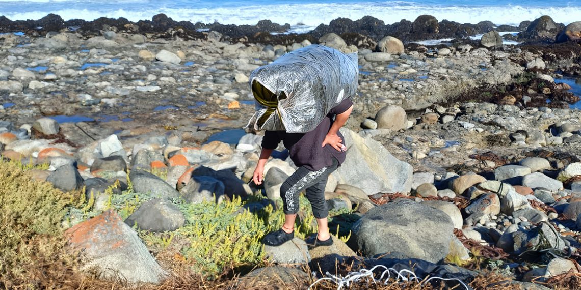 el trabajo de algueros de navidad con hierbas de mar ha permitido conocer mejor el valor y los procesos de las algas para obtener un producto de mejor calidad - de chile al paladar | noticias del vino en chile El trabajo de Algueros de Navidad con Hierbas de Mar ha permitido conocer mejor el valor y los procesos de las algas para obtener un producto de mejor calidad. Foto Algueros de Navidad.