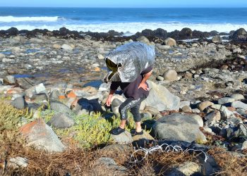 el trabajo de algueros de navidad con hierbas de mar ha permitido conocer mejor el valor y los procesos de las algas para obtener un producto de mejor calidad - de chile al paladar | noticias del vino en chile El trabajo de Algueros de Navidad con Hierbas de Mar ha permitido conocer mejor el valor y los procesos de las algas para obtener un producto de mejor calidad. Foto Algueros de Navidad.