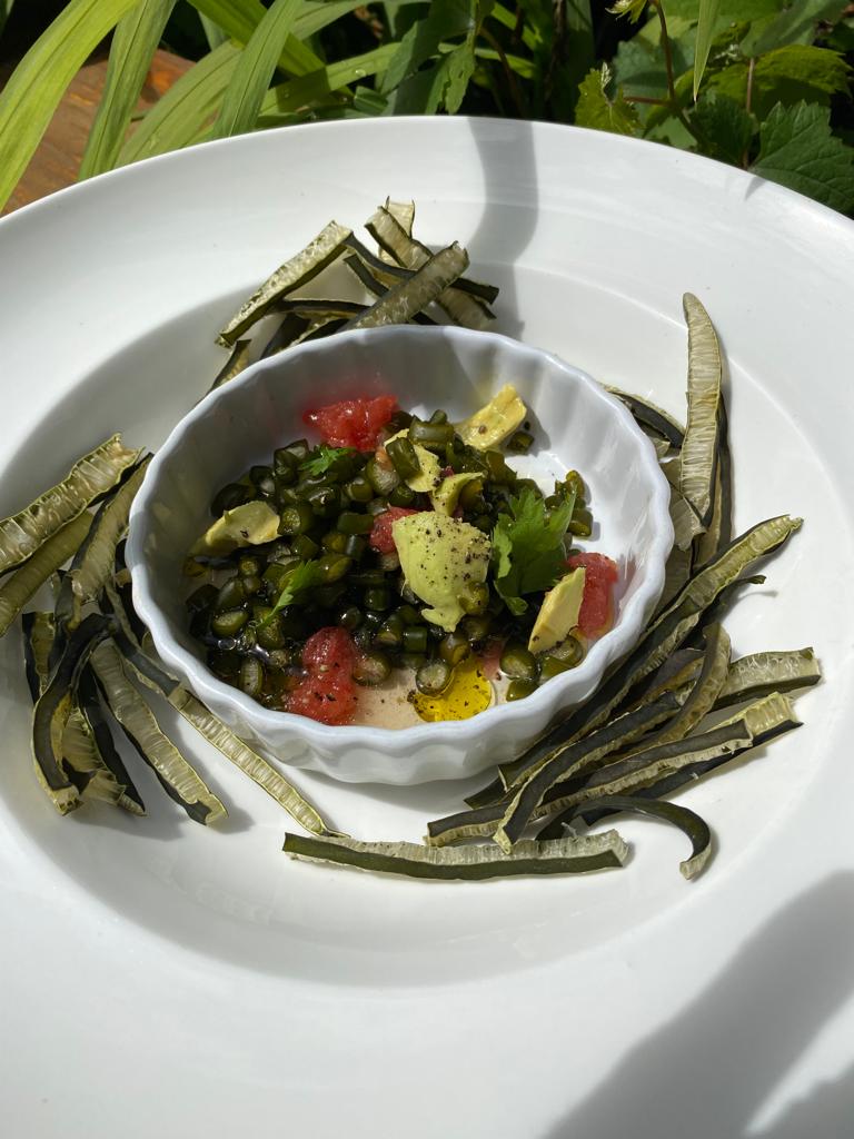 navidad cuenta con una planta procesadora de algas pionera en latinoamérica, administrada por cecilia masferrer. fotos algueros de navidad. - de chile al paladar | noticias del vino en chile