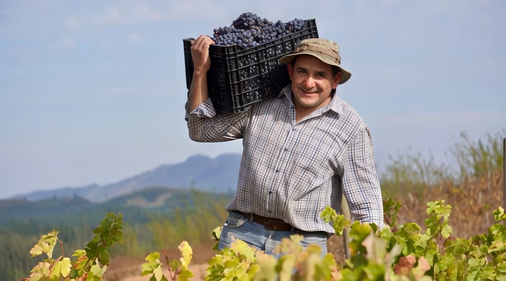 víctor castellón propietario y fundador de viña castellón - de chile al paladar | noticias del vino en chile Víctor Castellón propietario y fundador de Viña Castellón