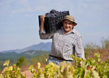 víctor castellón propietario y fundador de viña castellón - de chile al paladar | noticias del vino en chile Víctor Castellón propietario y fundador de Viña Castellón