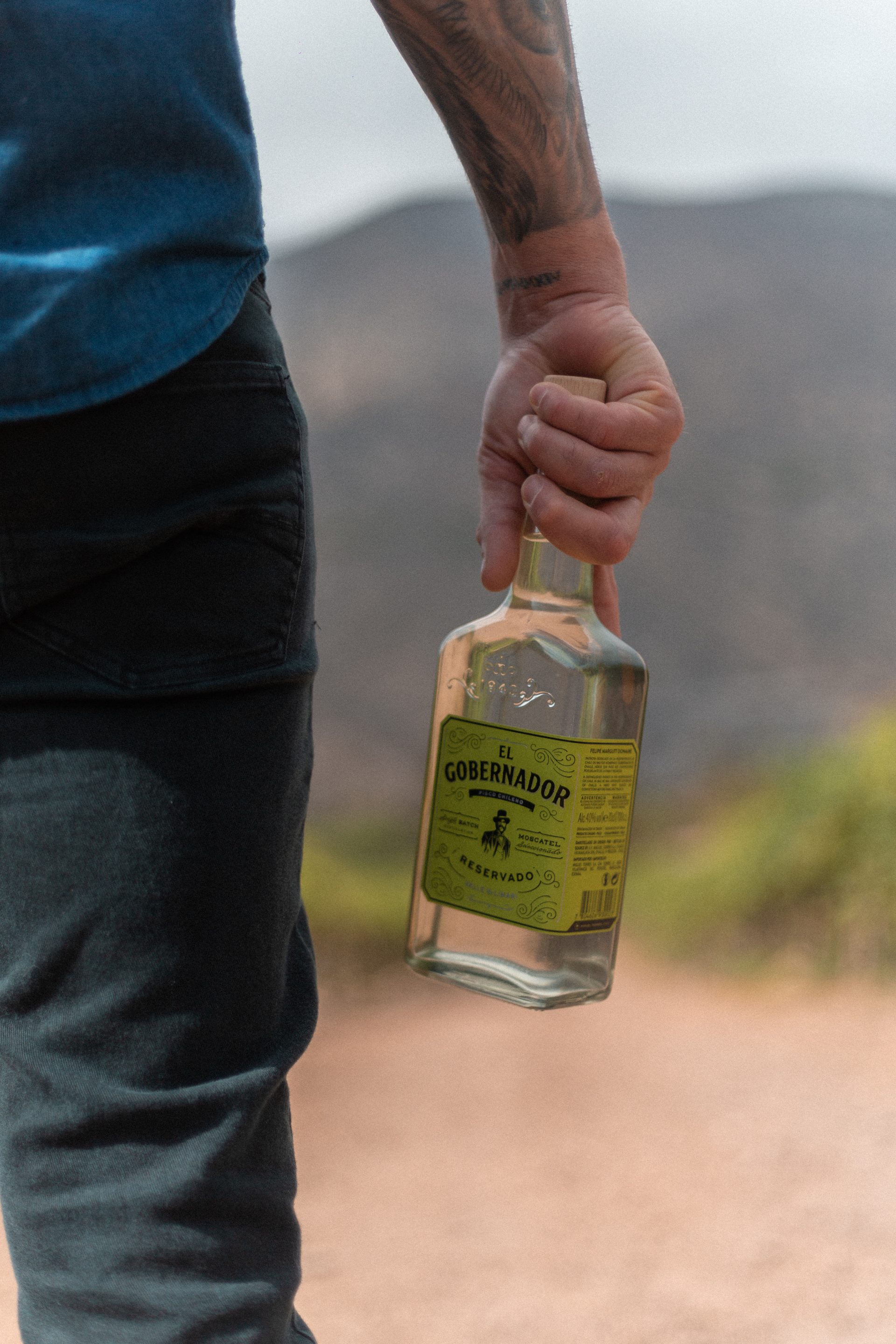 el jurado de la international wine & spirits competition, elogió a el gobernador por su elegancia, equilibrio e intensidad aromática. - de chile al paladar | noticias del vino en chile