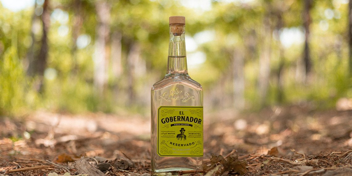 el gobernador es un pisco reservado de 40° originario del valle del limarí en el norte de chile elaborado con las variedades moscatel rosada y moscatel de alejandría - de chile al paladar | noticias del vino en chile El Gobernador es un pisco reservado de 40° originario del Valle del Limarí en el norte de Chile elaborado con las variedades moscatel rosada y moscatel de Alejandría. Foto: Miguel Torres Chile.