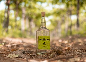 El Gobernador es un pisco reservado de 40° originario del Valle del Limarí en el norte de Chile elaborado con las variedades moscatel rosada y moscatel de Alejandría. Foto: Miguel Torres Chile.