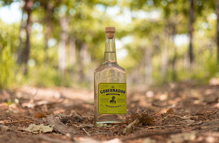 El Gobernador es un pisco reservado de 40° originario del Valle del Limarí en el norte de Chile elaborado con las variedades moscatel rosada y moscatel de Alejandría. Foto: Miguel Torres Chile.