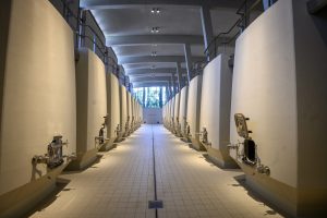 sala de vinificación bodega ramón bilbao, haro - la rioja.. foto: nick charlesworth. - de chile al paladar | noticias del vino en chile