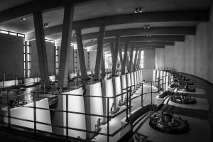 nz6_4930-edit_2_bw - de chile al paladar | noticias del vino en chile