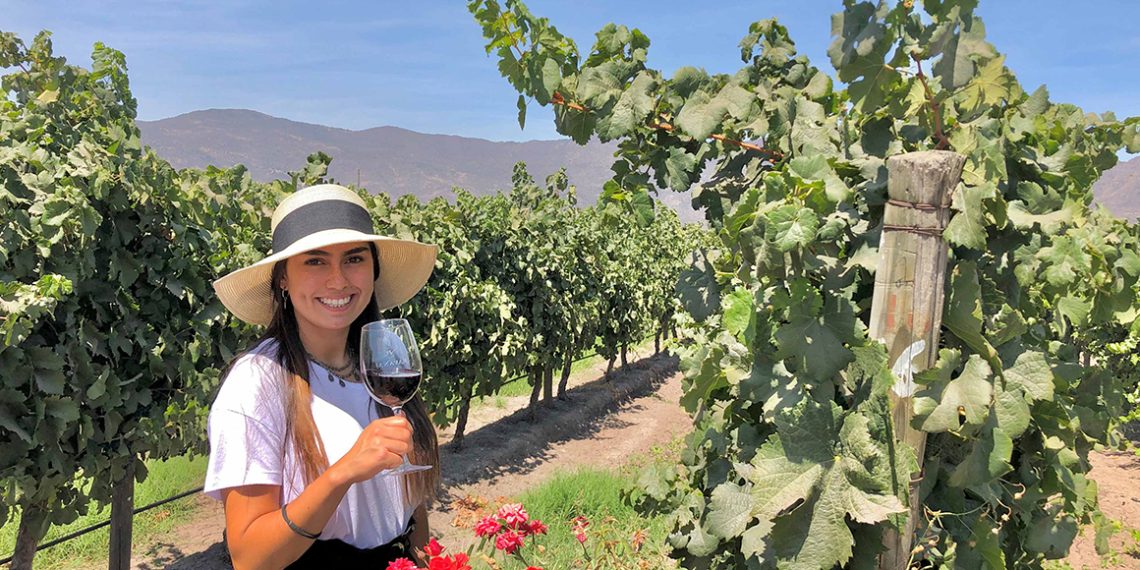 Colchagua impulsa la sustentabilidad del vino chileno