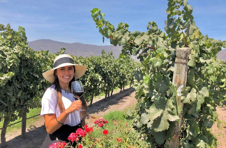 Colchagua impulsa la sustentabilidad del vino chileno