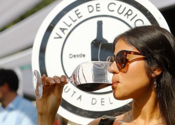 La XXXVII edición la Fiesta de la Vendimia Curicó reafirma su rol como capital histórica de las vendimias en Chile. Foto: Ruta del Vino Curicó.