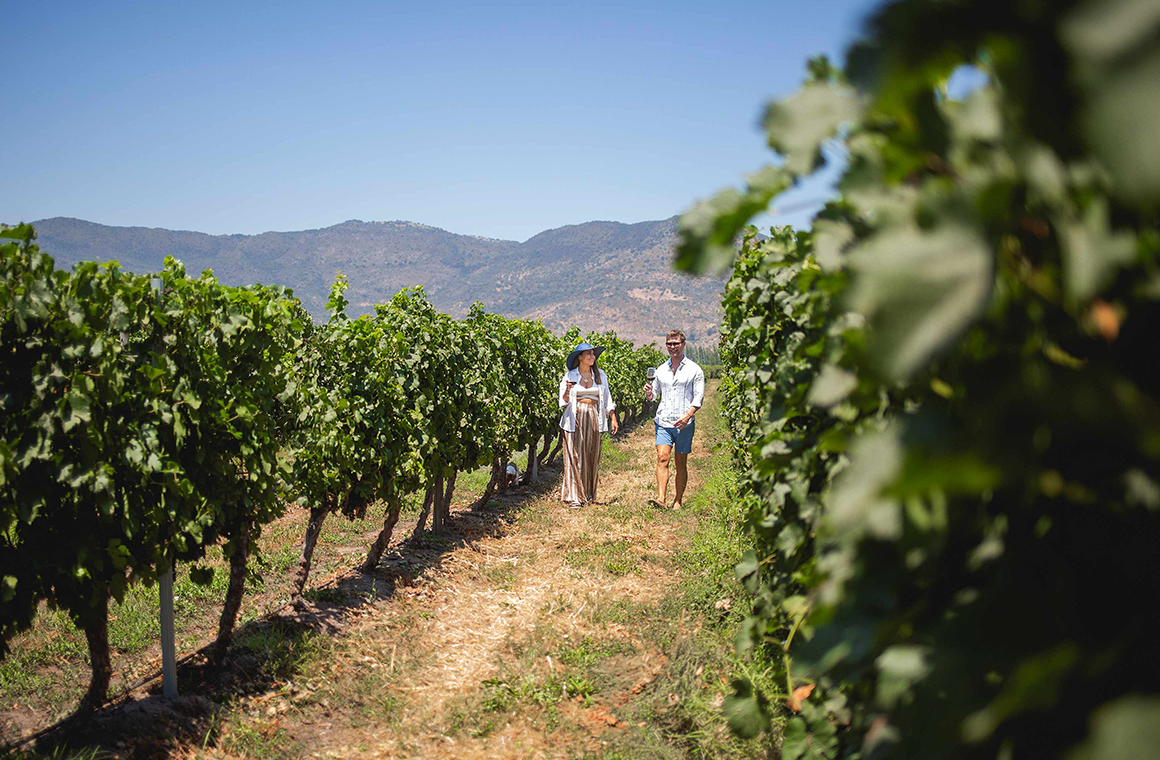 El enoturismo en Chile crece impulsado por viajeros que buscan experiencias auténticas en torno al vino la gastronomía y el territorio. Foto: Viña Ravanal.