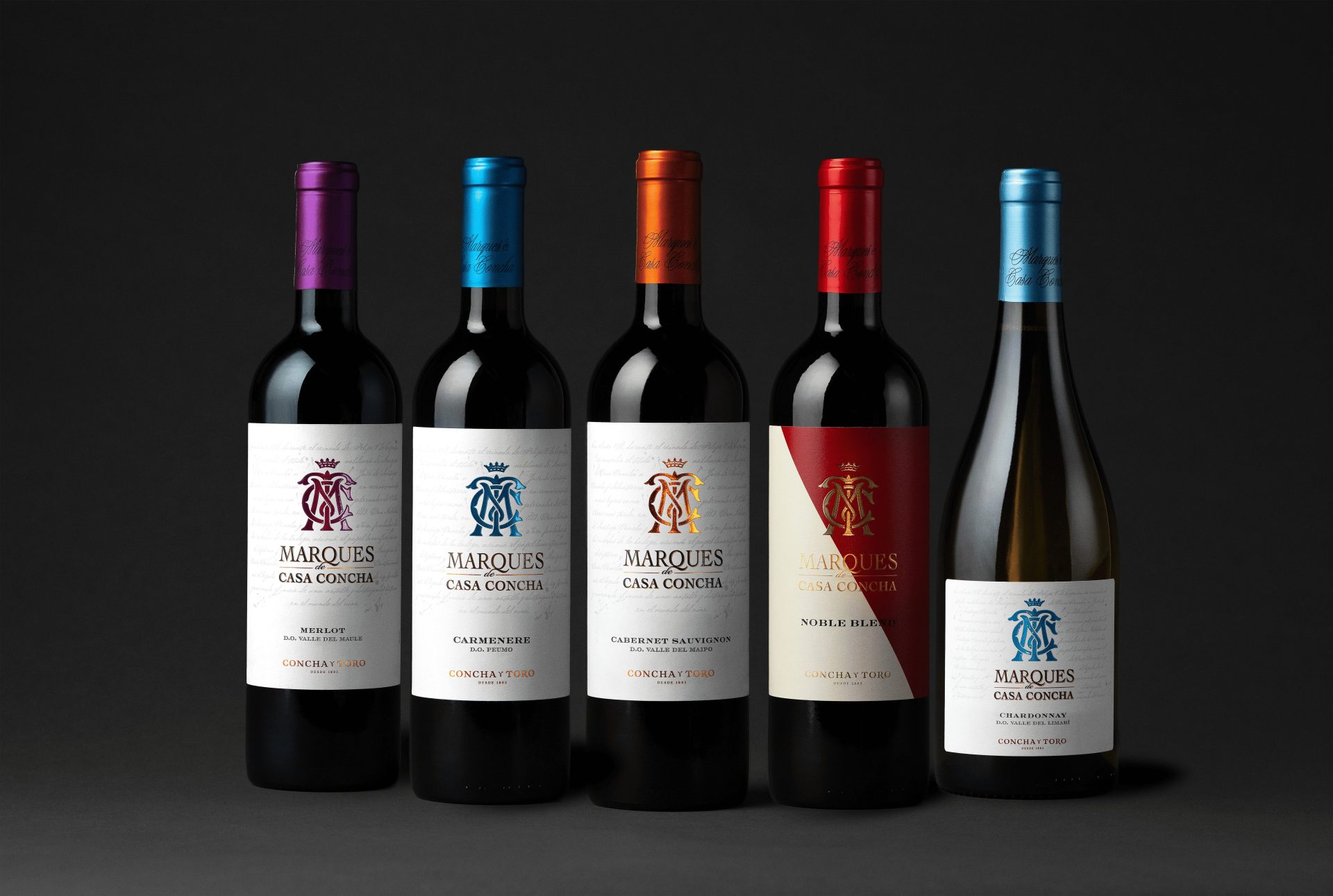 El mercado del vino en Chile cambia: caen categorías masivas y crecen vinos premium.. Foto: Cedida.