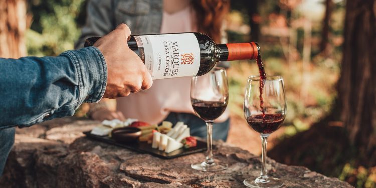 Chilenos apuestan por más calidad en vez de cantidad a la hora de tomar o regalar un vino. Foto: Cedida.