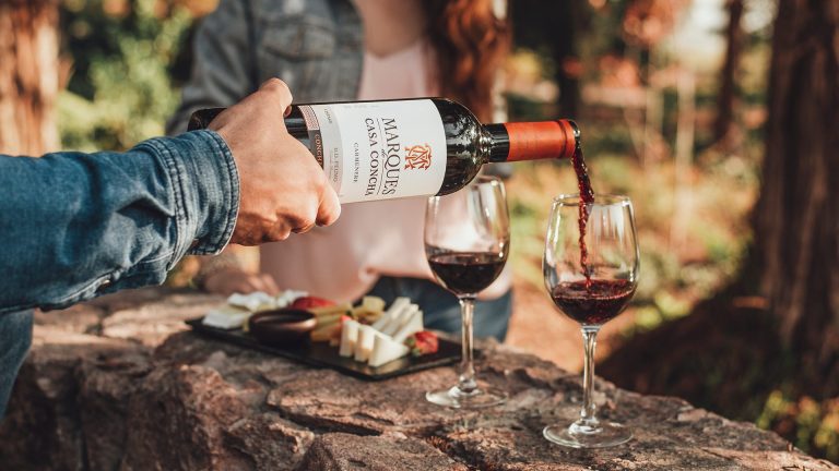Chilenos apuestan por más calidad en vez de cantidad a la hora de tomar o regalar un vino. Foto: Cedida.