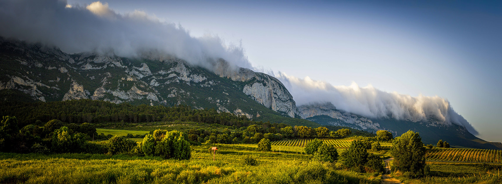 La Sierra de Cantabria, impresionante barrera montañosa de roca caliza que actúa como escudo natural, protegiendo los viñedos de la Rioja Alavesa y Sonsierra riojana de los vientos fríos del norte, creando un clima propicio para el vino. Foto Nick Charlesworth.