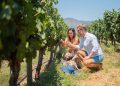 Viña Ravanal en el Valle de Colchagua se integra al auge del enoturismo con experiencias centradas en el origen del vino. Foto: Viña Ravanal.