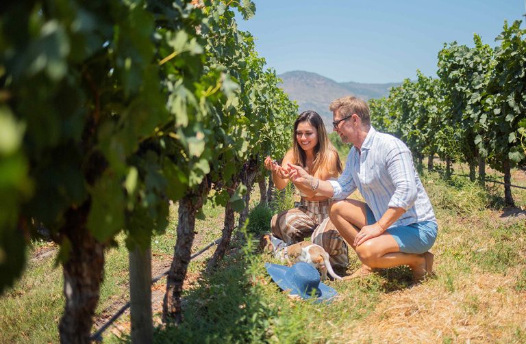 Viña Ravanal en el Valle de Colchagua se integra al auge del enoturismo con experiencias centradas en el origen del vino. Foto: Viña Ravanal.