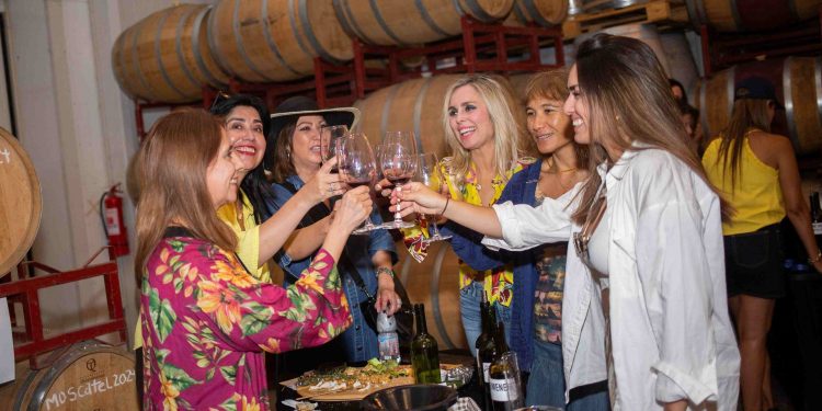 Viña Ravanal destaca que el invierno en Colchagua permite redescubrir la experiencia del vino desde otra perspectiva. Foto: Cedida.