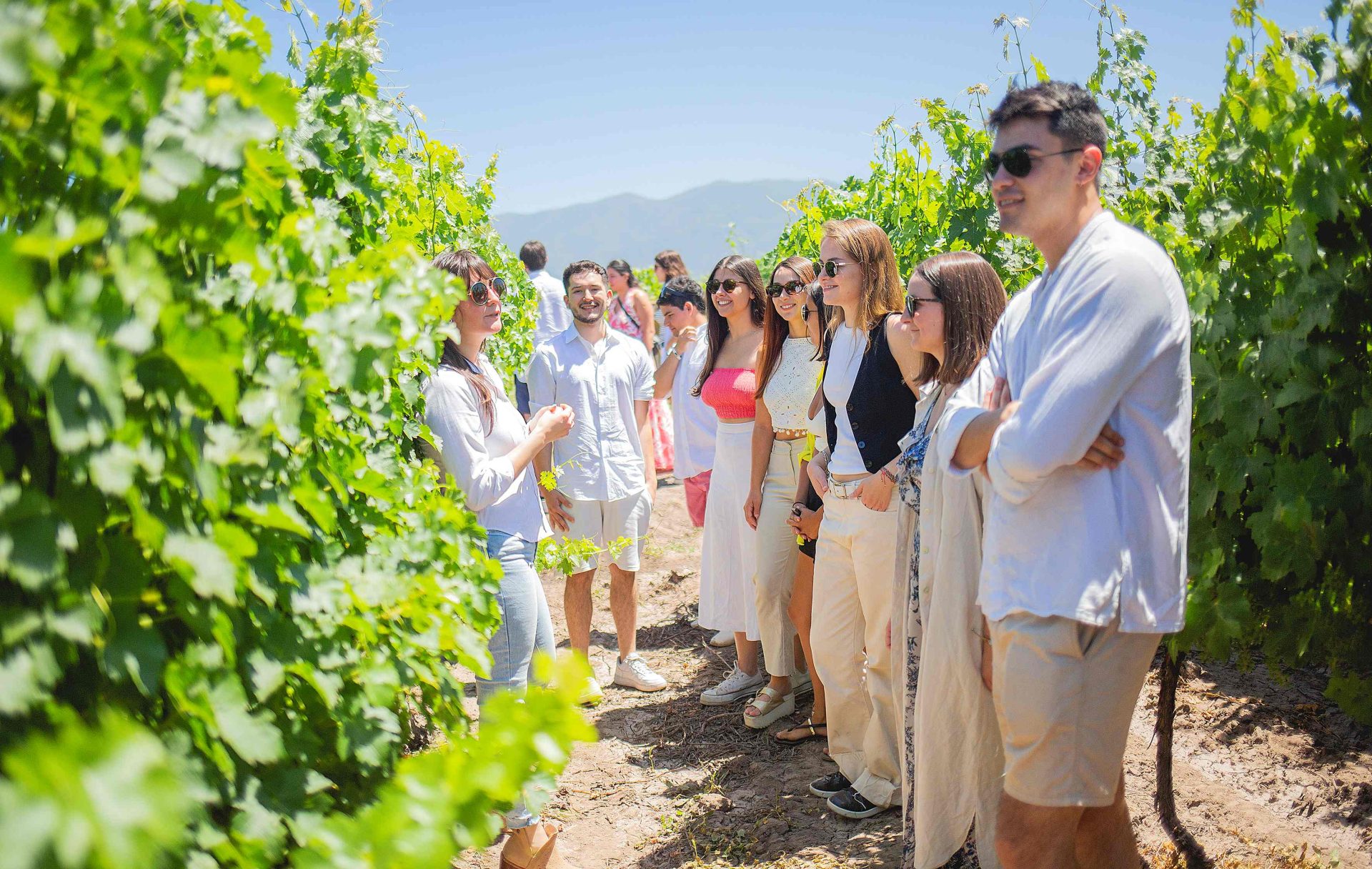 Con estas experiencias se amplía la propuesta tradicional del enoturismo, integrando elementos como la gastronomía, la cultura y la entretención. Foto: Viña Ravanal.