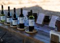 La línea debuta con cinco etiquetas distribuidas en tres valles chilenos: Casablanca, Cachapoal y Maipo. Foto: Viña Casas del Bosque.