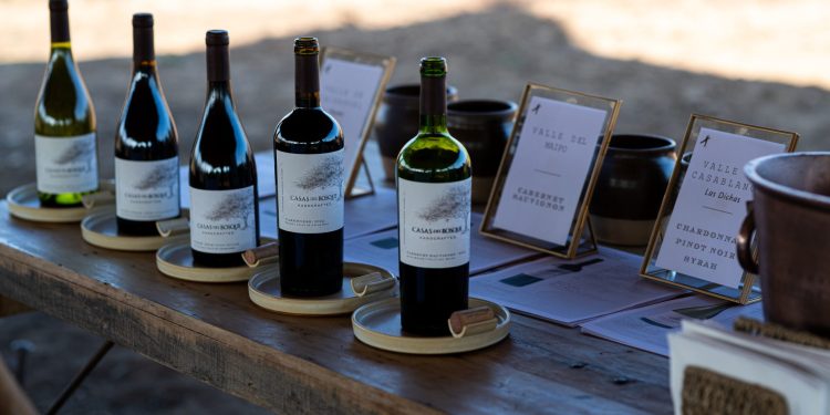 la línea debuta con cinco etiquetas distribuidas en tres valles chilenos casablanca cachapoal y maipo foto viña casas del bosque de chile al paladar | noticias del vino en chile La línea debuta con cinco etiquetas distribuidas en tres valles chilenos: Casablanca, Cachapoal y Maipo. Foto: Viña Casas del Bosque.